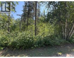 1.95 Acre Lot At Fur Lake, Fur Lakes, SK S0J2G0 Photo 9
