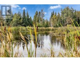 397061 5th Line, Melancthon, ON L9V1R2 Photo 44