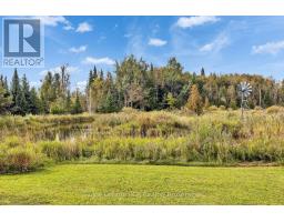 397061 5th Line, Melancthon, ON L9V1R2 Photo 48