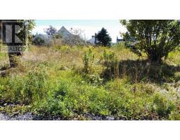 11 Court Street, Port Hood, NS B0E2W0 Photo 11