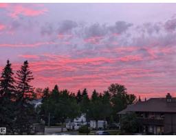 241 Surrey Gardens Gd Nw, Edmonton, AB T5T1Z3 Photo 37