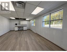 360 Mountain Street, Sudbury, ON P3B2T7 Photo 12