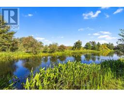 75 Green Briar Drive, Collingwood, ON L9Y5J2 Photo 25