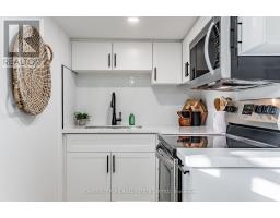 Lower - 101 Oakcrest Avenue, Toronto, ON M4C1B4 Photo 10