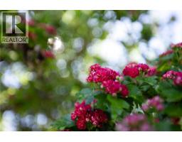 8997 Kalamalka Road Lot# 2, Coldstream, BC V1B3C2 Photo 30