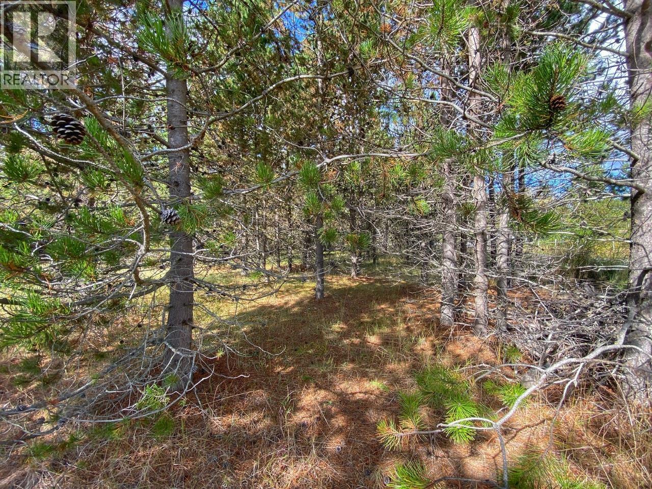 3130 62 Highway, Hazelton