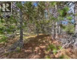 3130 62 Highway, Hazelton, BC V0J1Y1 Photo 20