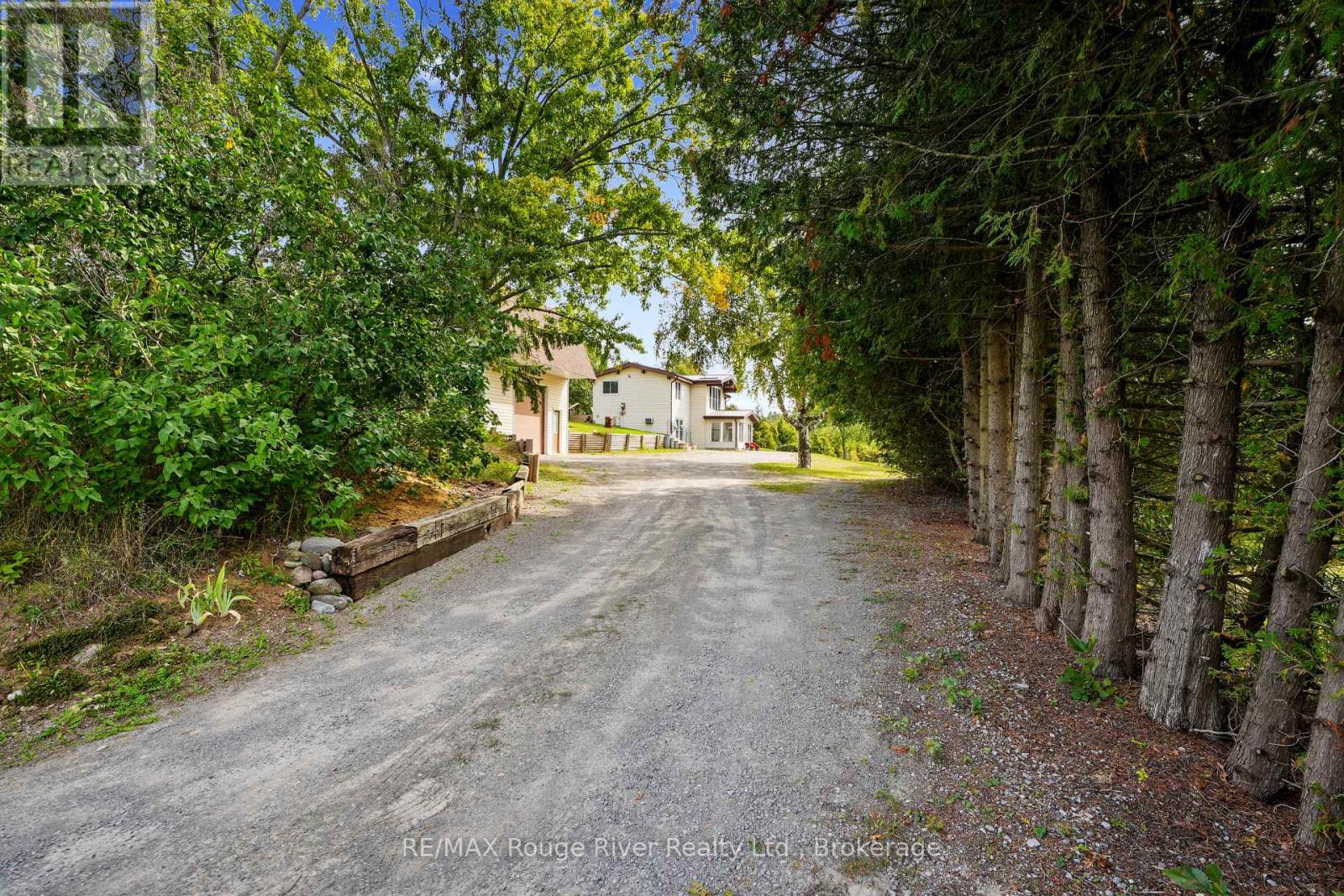 217 GODOLPHIN ROAD - 2