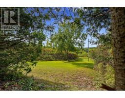 217 Godolphin Road, Trent Hills, ON K0K3K0 Photo 42