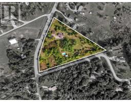 217 Godolphin Road, Trent Hills, ON K0K3K0 Photo 44