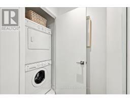 317 - 319 Carlaw Avenue, Toronto, ON M4M0A4 Photo 29