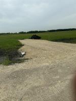 40 Kilmany Place, St Andrews, MB R1A3K6 Photo 6