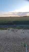 40 Kilmany Place, St Andrews, MB R1A3K6 Photo 7