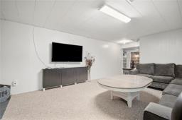 51019 Municipal 34e Road, Dufresne, MB R5K0J1 Photo 28