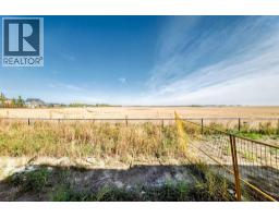 43 Sandpiper Bend, Chestermere, AB T1X2S6 Photo 35