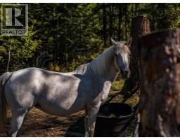 4604 Blewett Road, Nelson, BC V1L6X4 Photo 21