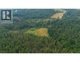 4604 Blewett Road, Nelson, BC V1L6X4 Photo 8