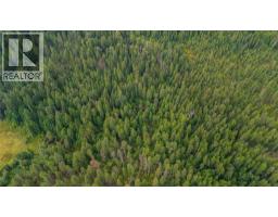 4604 Blewett Road, Nelson, BC V1L6X4 Photo 12