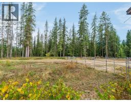 4604 Blewett Road, Nelson, BC V1L6X4 Photo 20