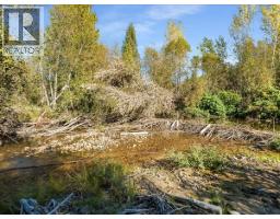 3168 Pass Creek Road, Crescent Valley, BC V0G1H0 Photo 58