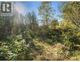 3168 Pass Creek Road, Crescent Valley, BC V0G1H0 Photo 64