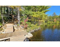 378 Spectacle Lake Road, Madawaska Valley, ON K0J1B0 Photo 8