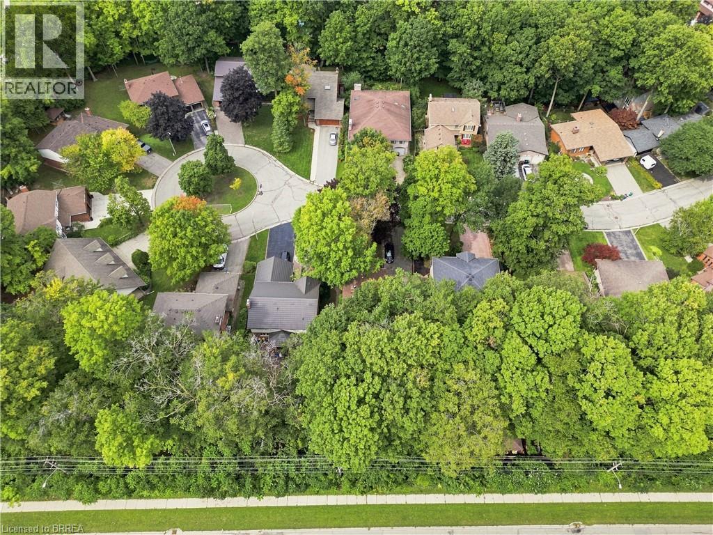 24 PRIMROSE Path — photo 3