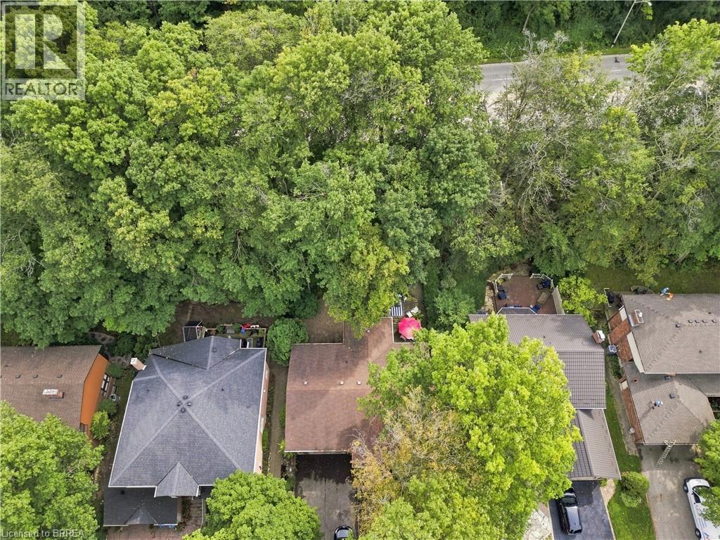 24 PRIMROSE Path - Image 41