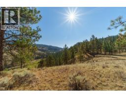 Prpsd Lt 1 47 Street, Okanagan Falls, BC V0H1R5 Photo 13
