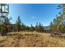 Prpsd Lt 1 47 Street, Okanagan Falls, BC V0H1R5 Photo 9