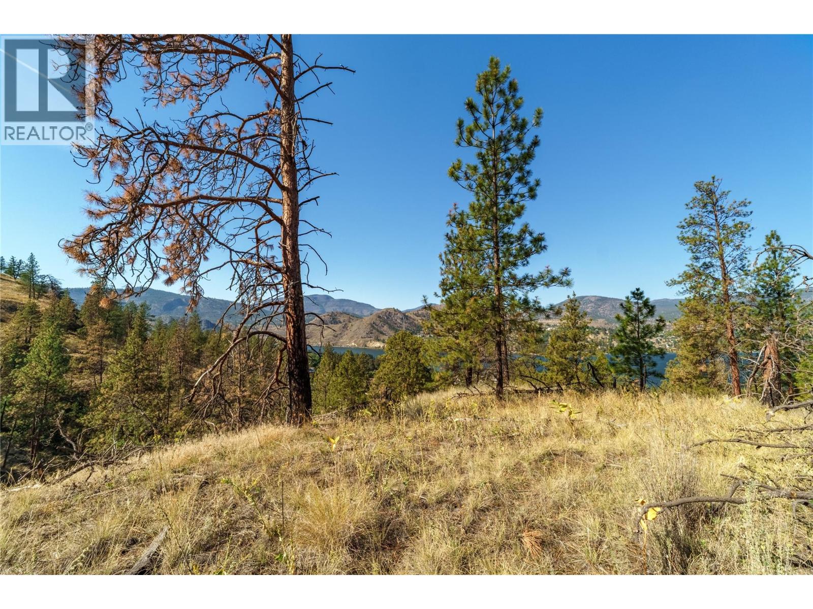 PRPSD LT 1 47 Street, Okanagan Falls