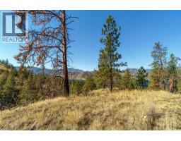 Prpsd Lt 1 47 Street, Okanagan Falls, BC V0H1R5 Photo 17
