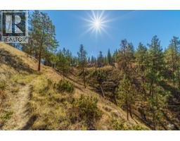 Prpsd Lt 1 47 Street, Okanagan Falls, BC V0H1R5 Photo 24