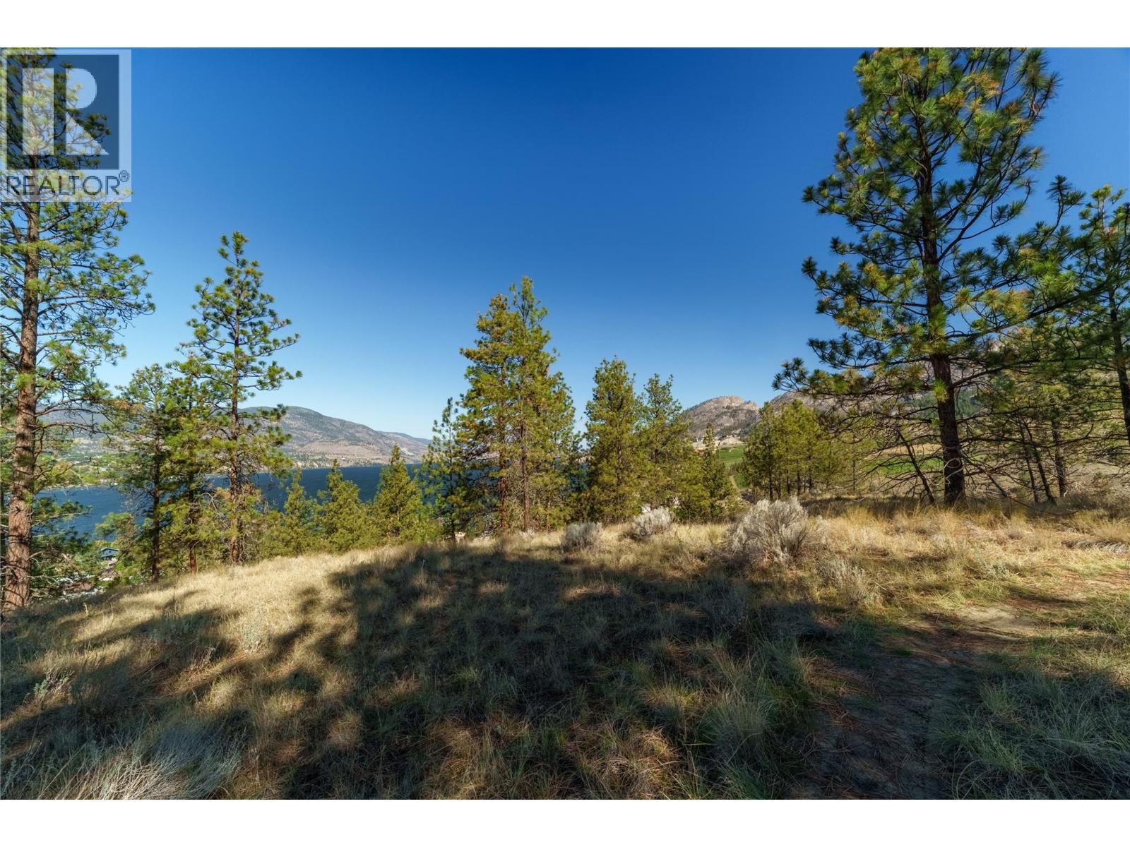 PRPSD LT 1 47 Street, Okanagan Falls