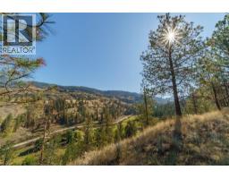 Prpsd Lt 1 47 Street, Okanagan Falls, BC V0H1R5 Photo 8