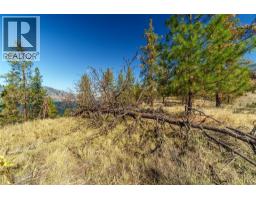 Prpsd Lt 1 47 Street, Okanagan Falls, BC V0H1R5 Photo 18