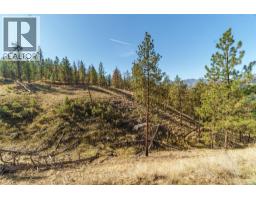 Prpsd Lt 1 47 Street, Okanagan Falls, BC V0H1R5 Photo 22