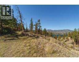 Prpsd Lt 1 47 Street, Okanagan Falls, BC V0H1R5 Photo 30