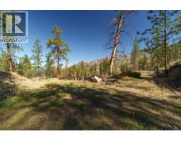 Prpsd Lt 1 47 Street, Okanagan Falls, BC V0H1R5 Photo 31
