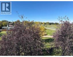 303, 1902 23 Street, Didsbury, AB T0M0W0 Photo 24