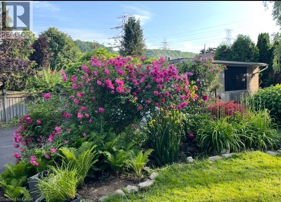 154 EWEN Road - 41