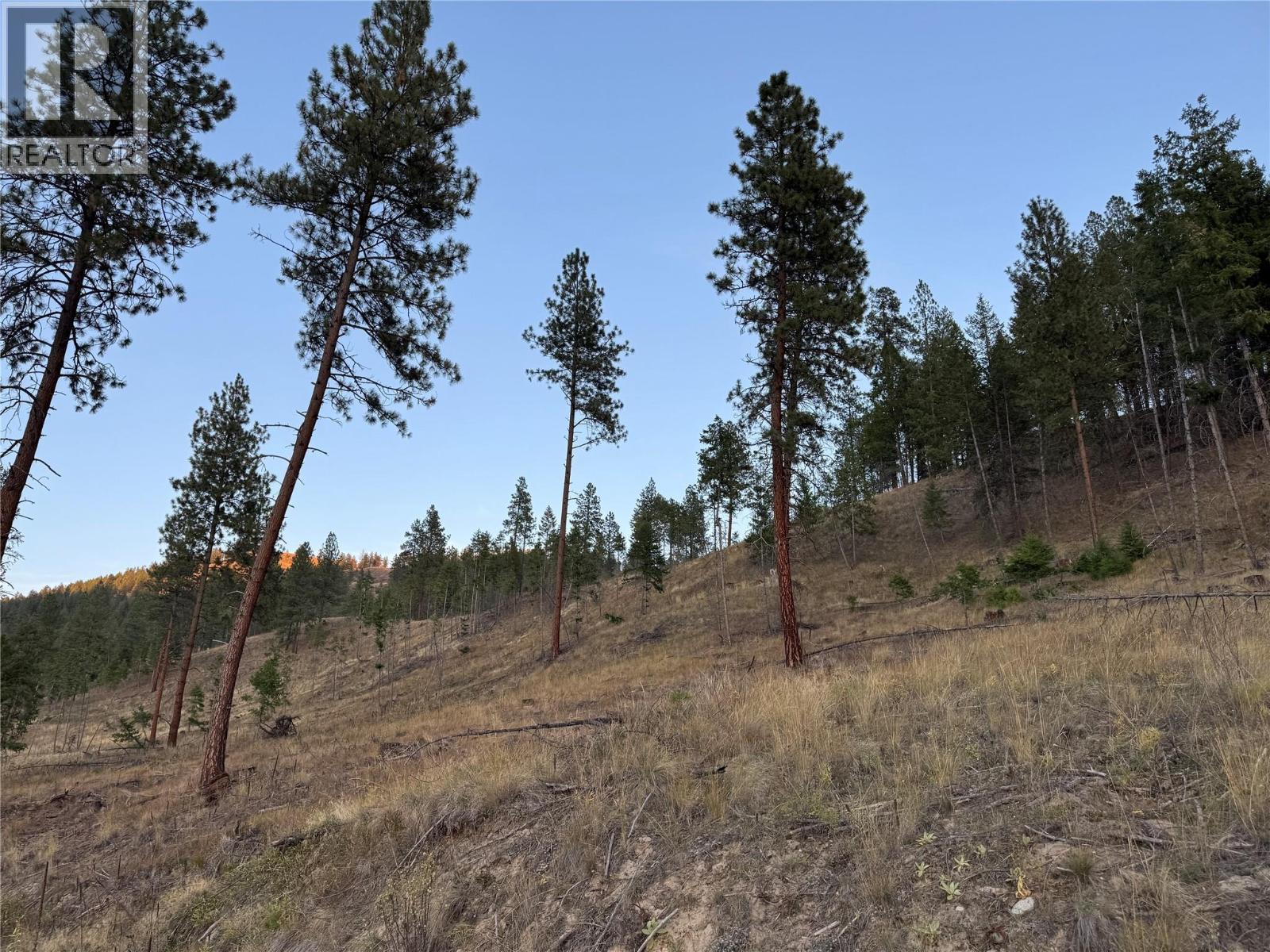 DL 1402S Kettle River E Road, Rock Creek