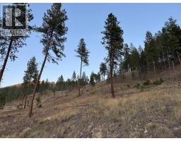 Dl 1402s Kettle River E Road, Rock Creek, BC V0H1Y0 Photo 36