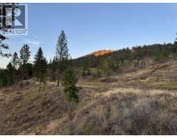 Dl 1402s Kettle River E Road, Rock Creek, BC V0H1Y0 Photo 38