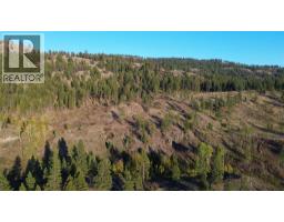 Dl 1402s Kettle River E Road, Rock Creek, BC V0H1Y0 Photo 9