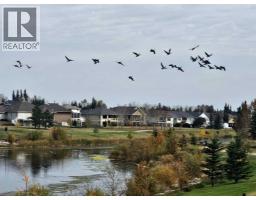 5920 24 Avenue, Camrose, AB T4V5J9 Photo 41
