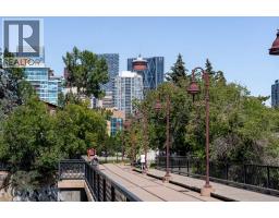 207, 303 19 Avenue Sw, Calgary, AB T2S0E1 Photo 29