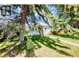 212 5 Avenue, Strathmore, AB T1P1B7 Photo 13