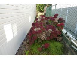 2103 Tyne Place, Surrey, BC V4A5K6 Photo 13