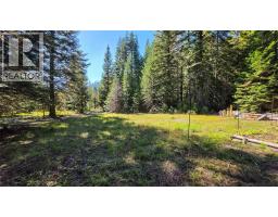 113 Wesco Road, Ymir, BC V0G2K0 Photo 51